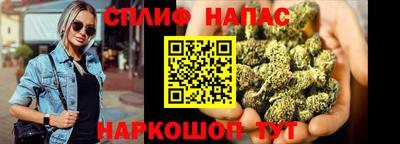 стафф Михайловск