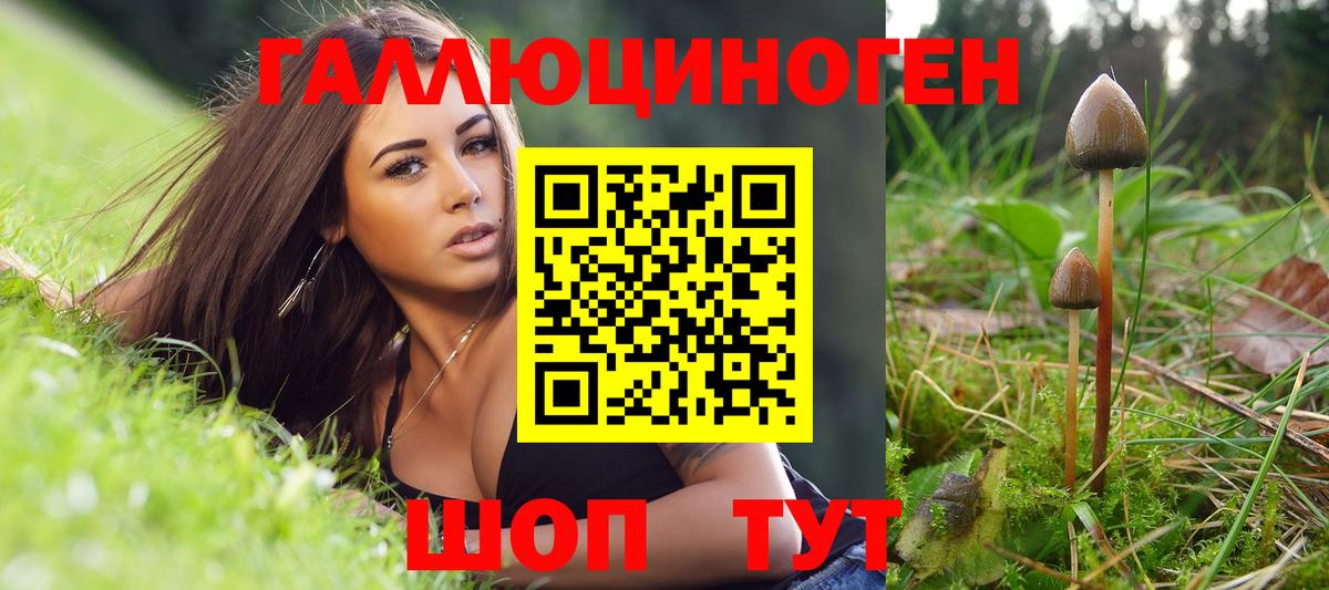 Псилоцибиновые грибы GOLDEN TEACHER  где купить наркотик  Кубинка  Вход с VPN 