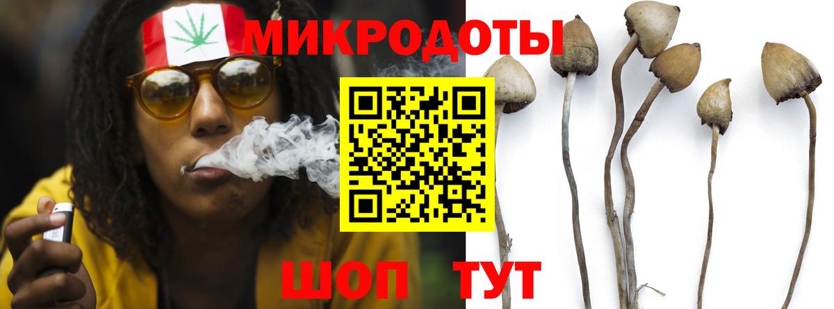 Псилоцибиновые грибы ЛСД Кубинка